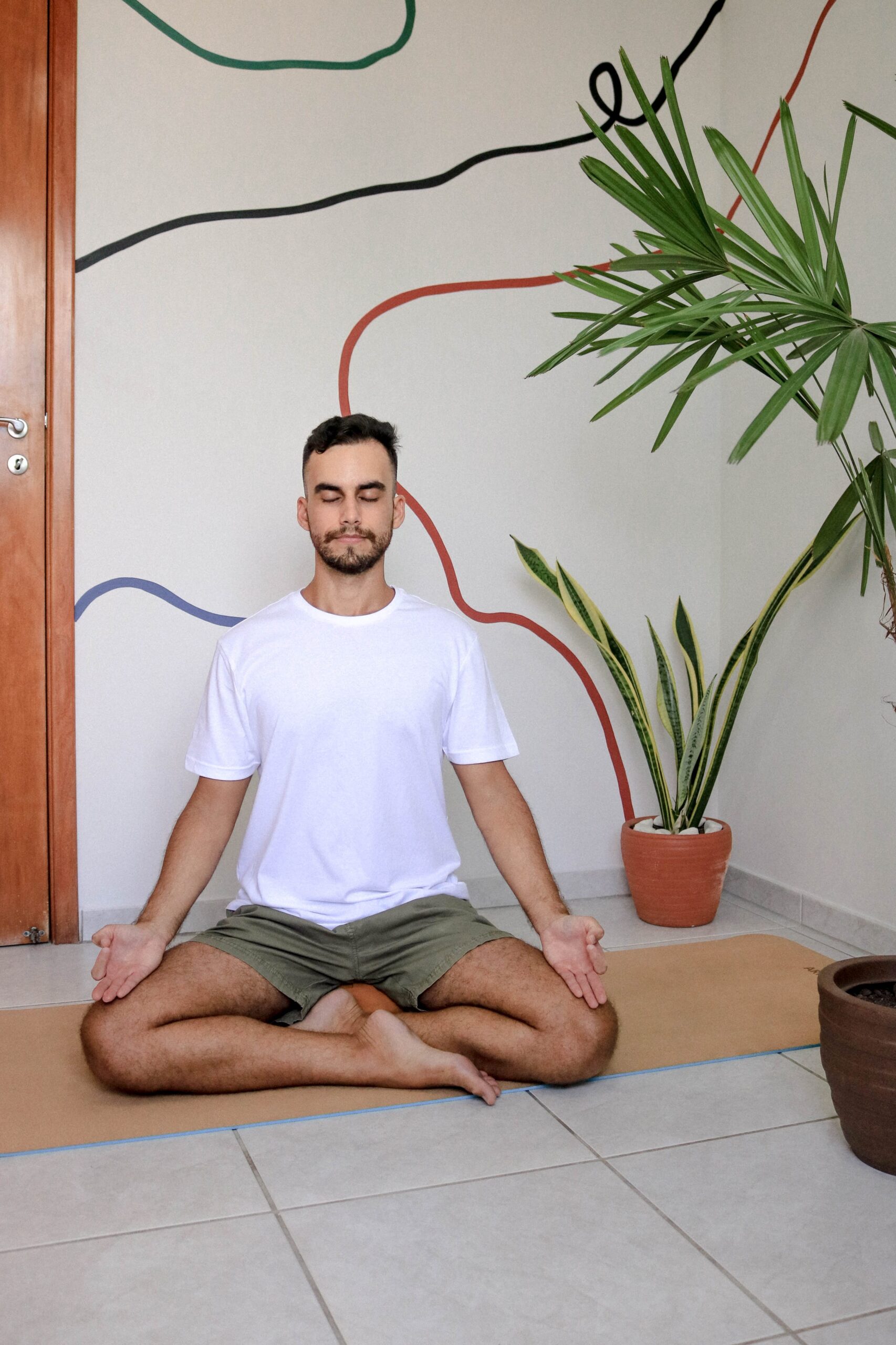 Por que juntamos o polegar com o indicador na meditação?